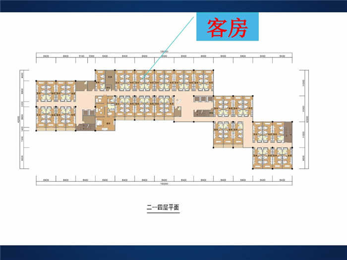 酒店設(shè)計案例分析